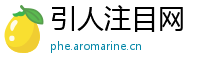 引人注目网